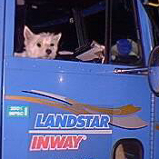 Glennie goes Trucking!